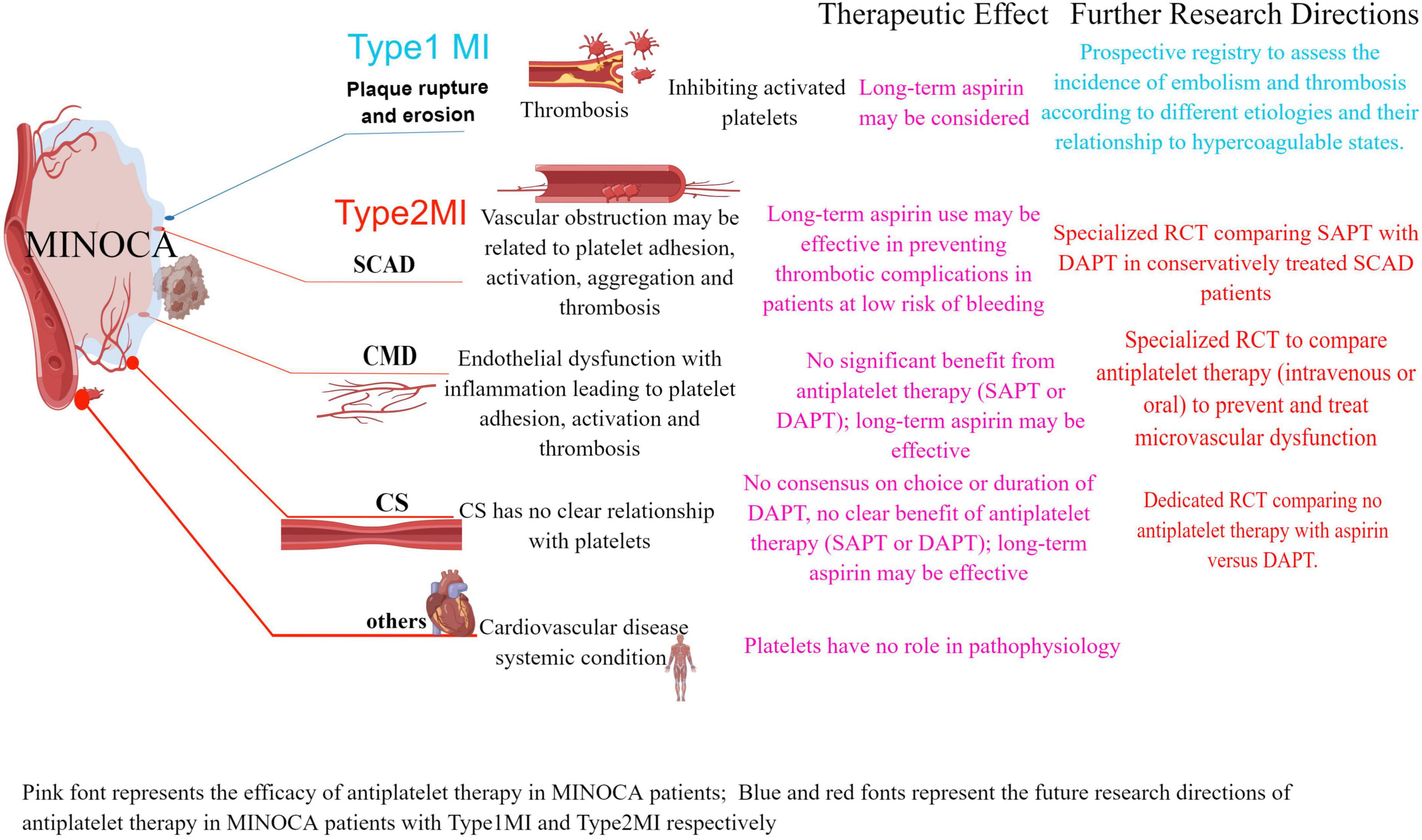 Antiplatelet therapy in patients with myocardial infarction with non-obstructive coronary arteries: A clinical perspective